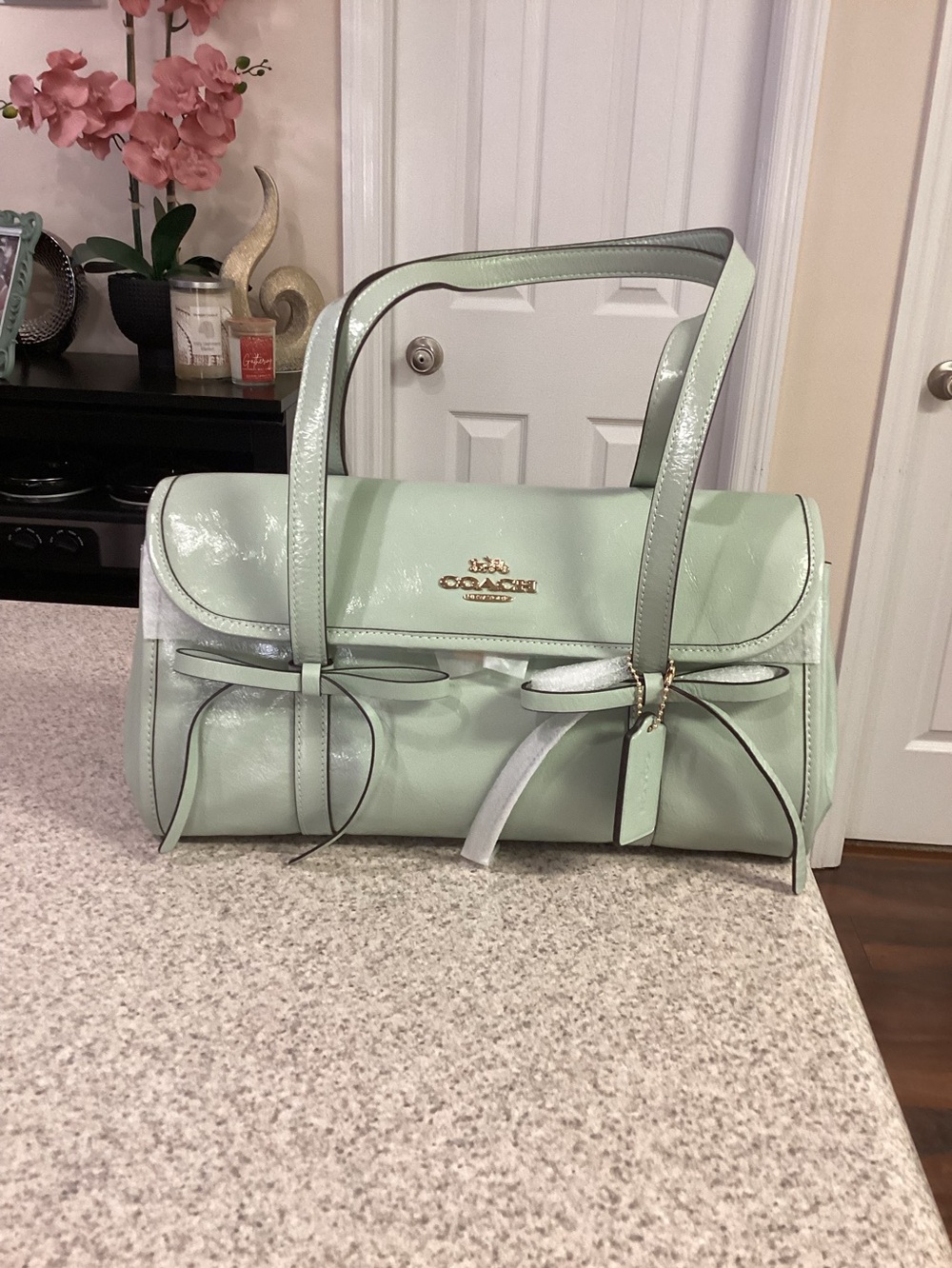 Coach Pistachio Green Bridget Flap Shoulder Bag With Bows
